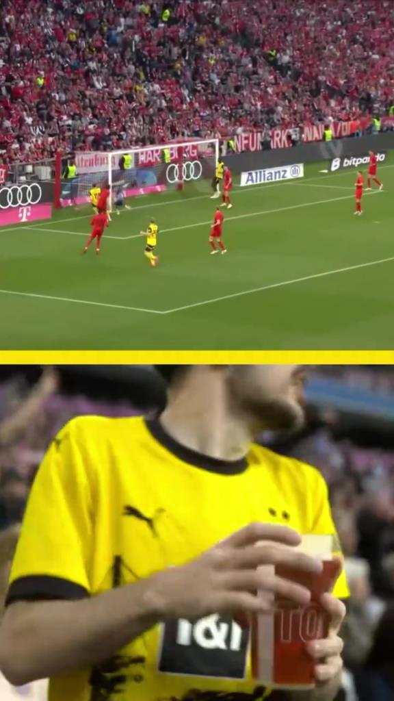 勇者無(wú)懼！這是真多特球迷！在拜仁球迷區(qū)一個(gè)人肆意慶祝！